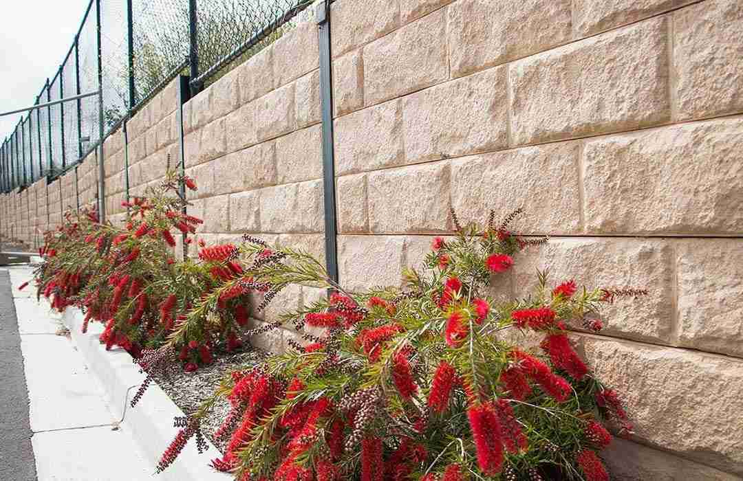 Cove-04-1.jpg - Retaining Wall Supplies